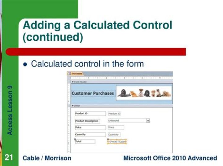 What is calculated control in access?
