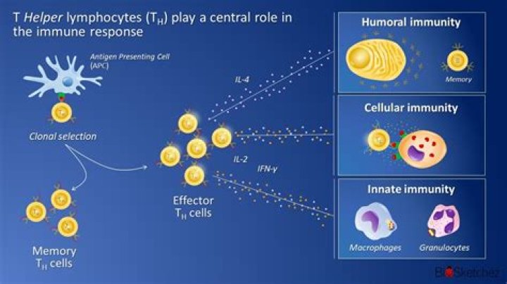 What is cd4m?