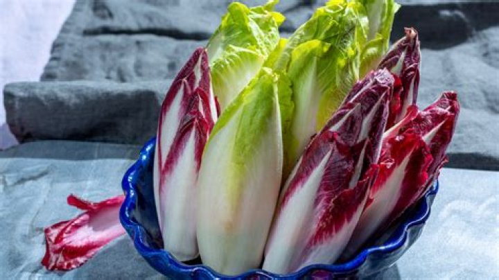 What is chicory Italy?