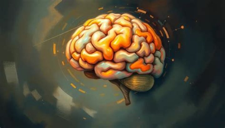 What is chimp brain?