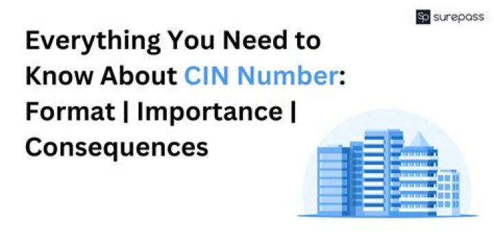What is CIN number for child support?