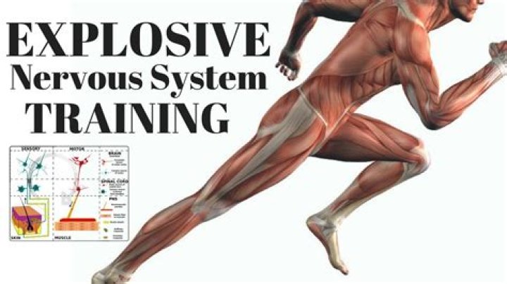 What is CNS training?