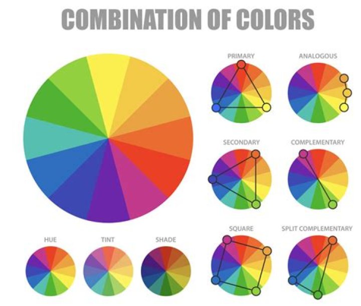 What is color terminology?