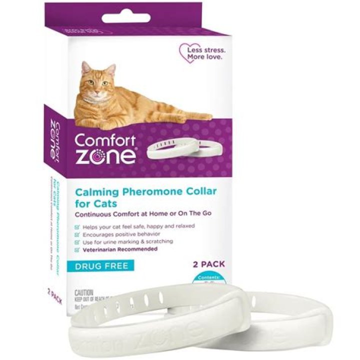 What is comfort zone for cats?