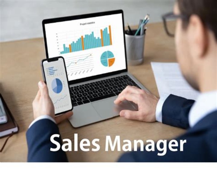 What is commercial sales manager?