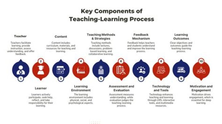 What is connection between teaching and profession?