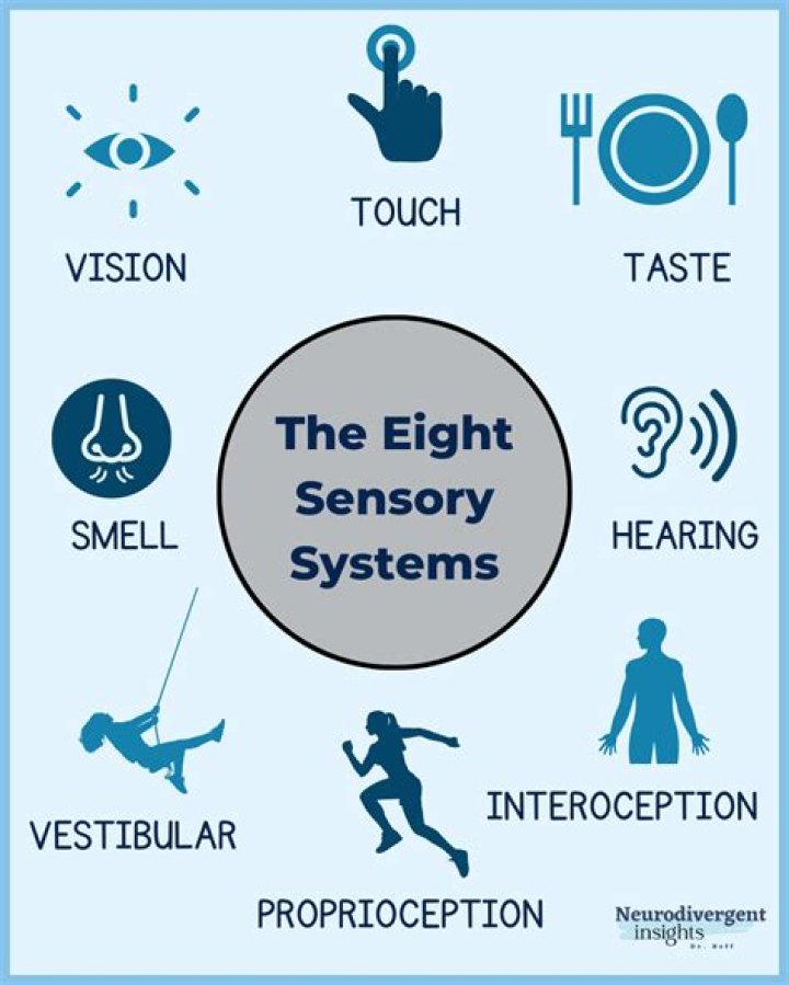 What is consciousness as sensory awareness?