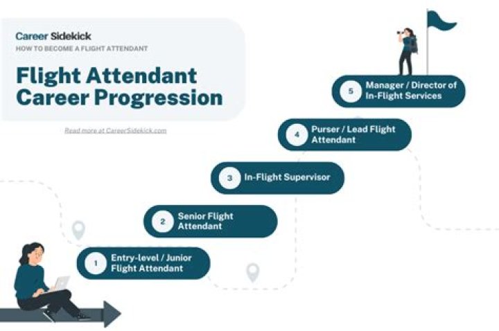 What is considered a senior flight attendant?