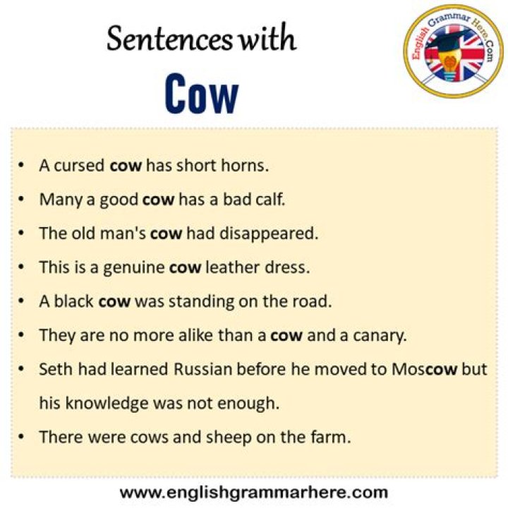 What is cow sentence?