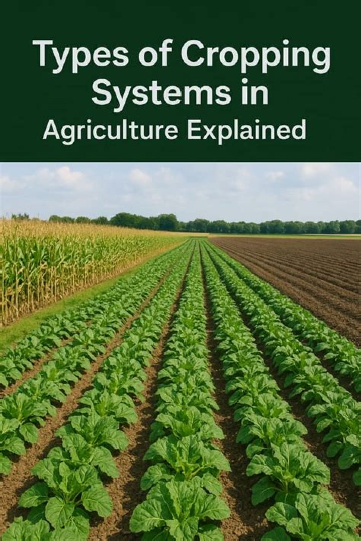 What is cropping density?