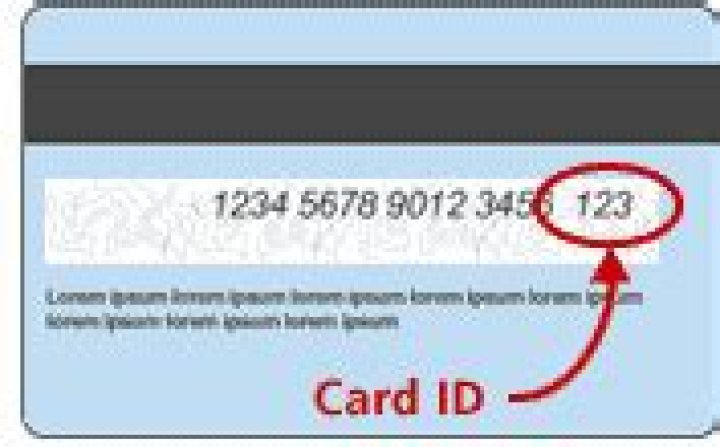 What is CSN pin?