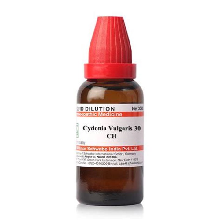 What is Cydonia vulgaris 30c?