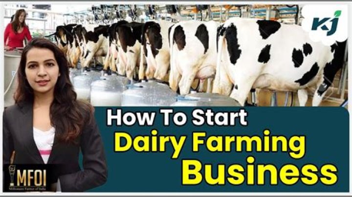 What is dairy farming business?