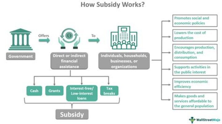 What is DBL subsidy?