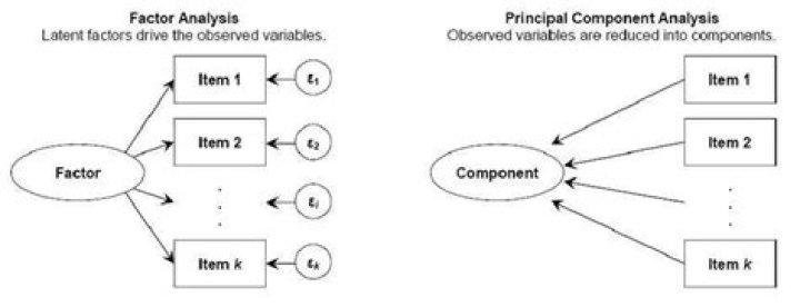 What is difference between principal component analysis and factor analysis?