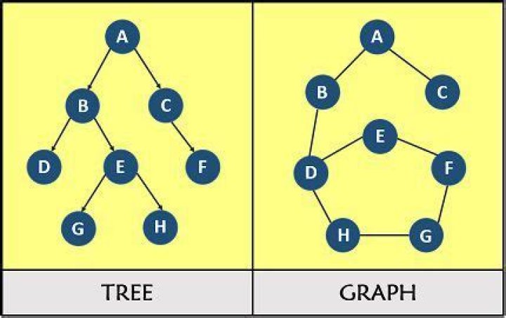 What is difference between tree and graph in data structure?