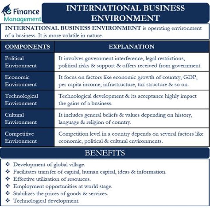 What is domestic environment in international business?