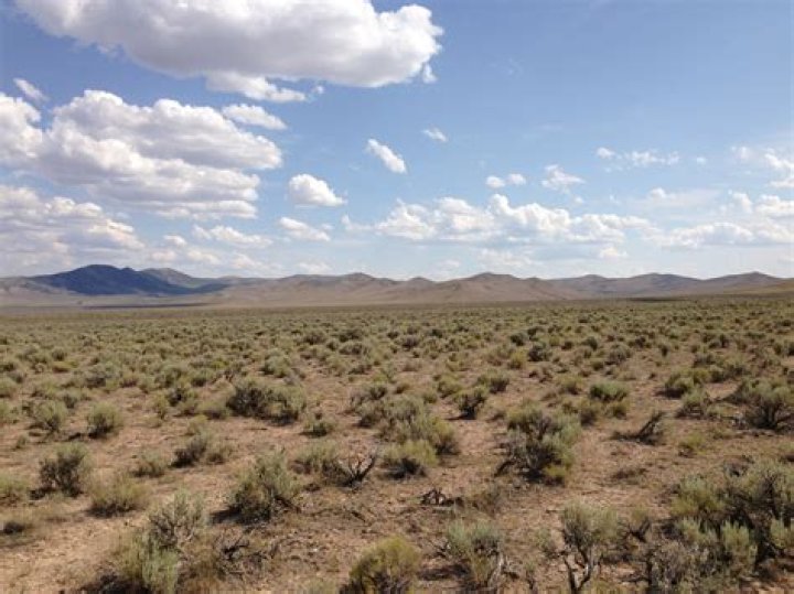 What is dry desert?