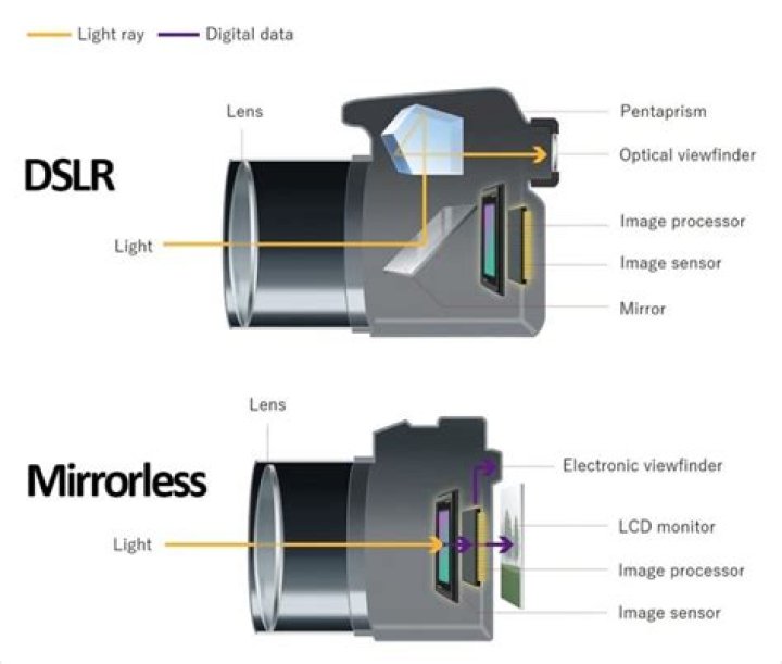 What is DSLR image processor?