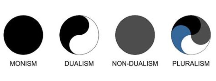 What is dualism vs non dualism?