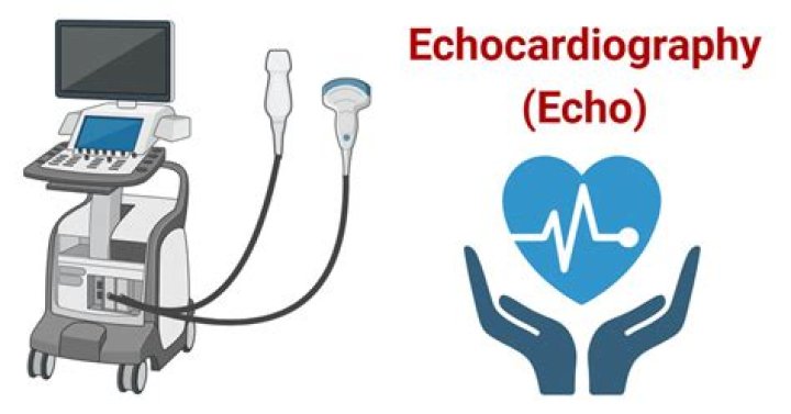 What is Echo service used for?