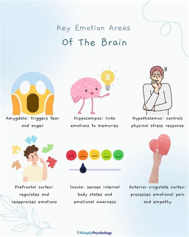 What is emotion and the cause of emotion?