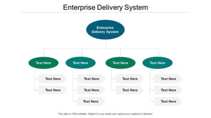What is enterprise delivery system in business plan?