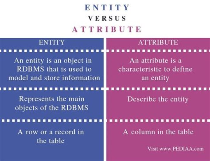 What is entity and attribute with example?