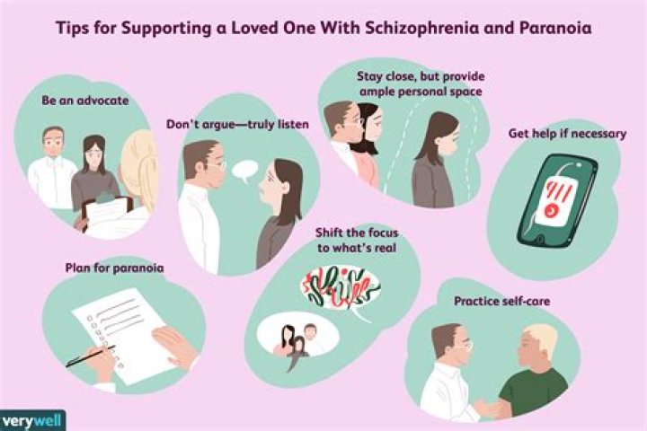 What is Esquizofrenia Paranoide?