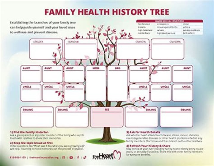 What is family health history?