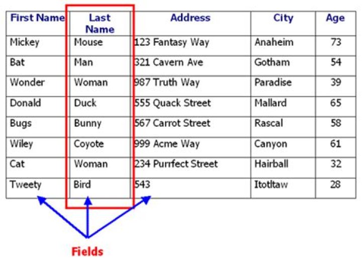 What is field length in database?