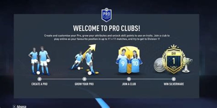 What is FIFA Pro?