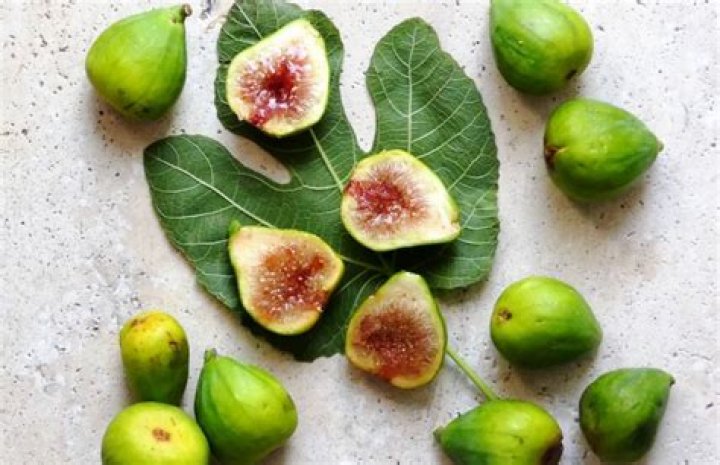 What is fig leaf good for?