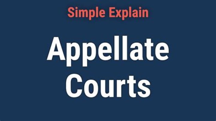 What is first appellate court?