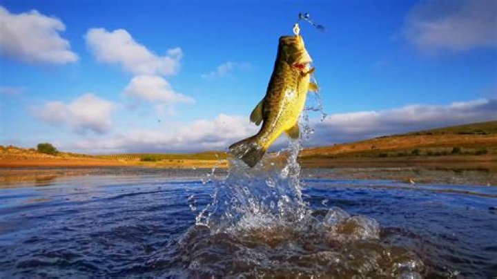 What is fishing considered?