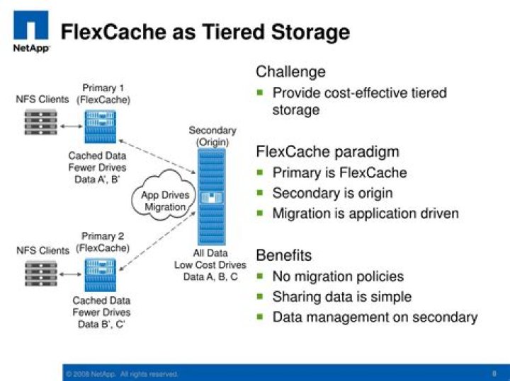 What is Flex Cache in NetApp?