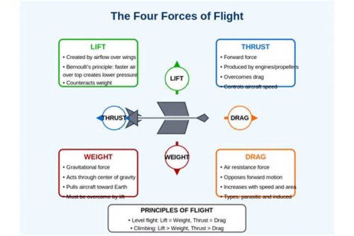 What is flight deck effect?