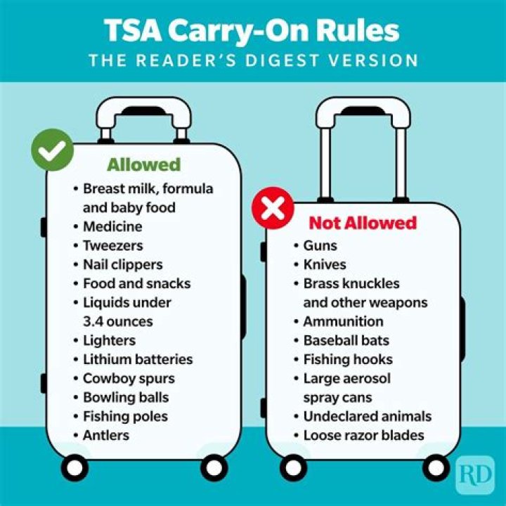 What is forbidden to take on a plane?