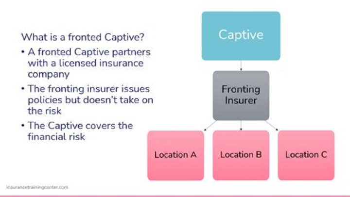 What is fronting risk?