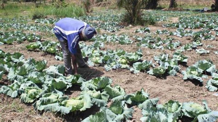 What is Ghana's climate?