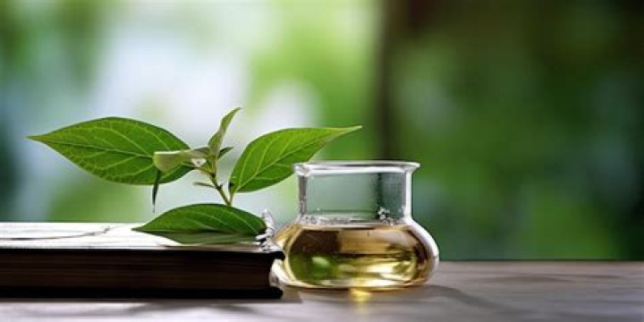 What is green leaf extract?