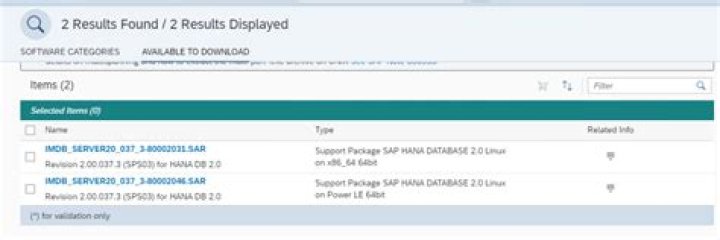 What is Hana revision upgrade?