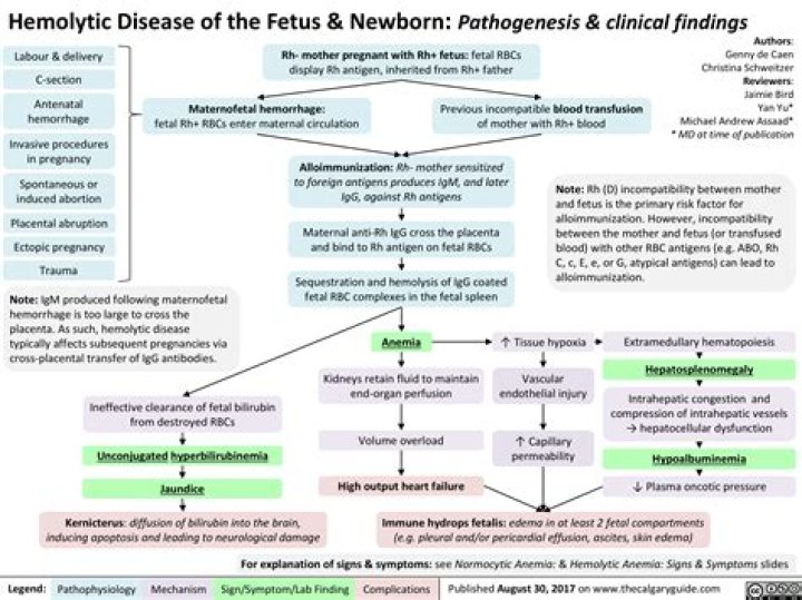 What is hemolytic disease of the fetus and newborn?