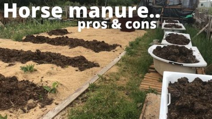 What is horse manure made of?