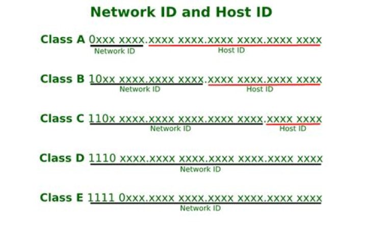 What is host code?