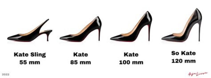What is how high about?