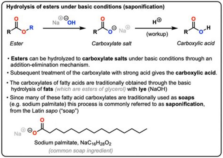 What is hydrolysis of ester?
