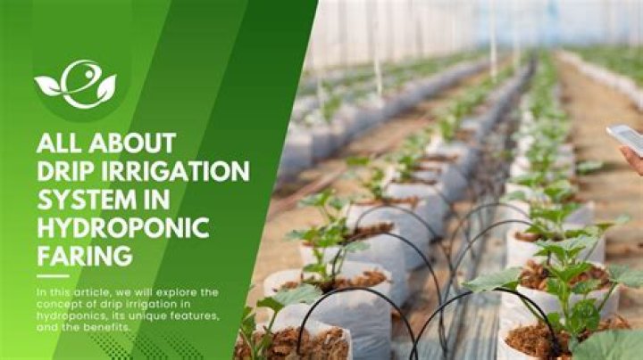 What is hydroponics PDF?