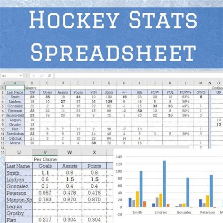 What is +- in hockey stats?