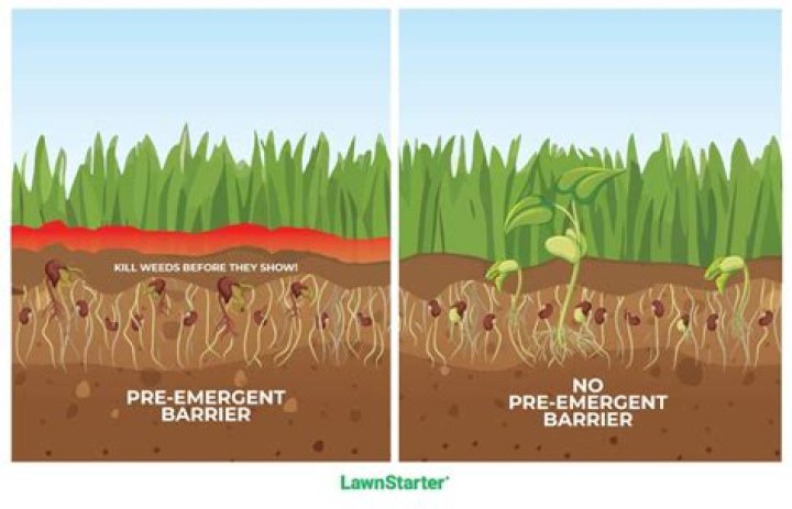 What is in pre-emergent herbicide?
